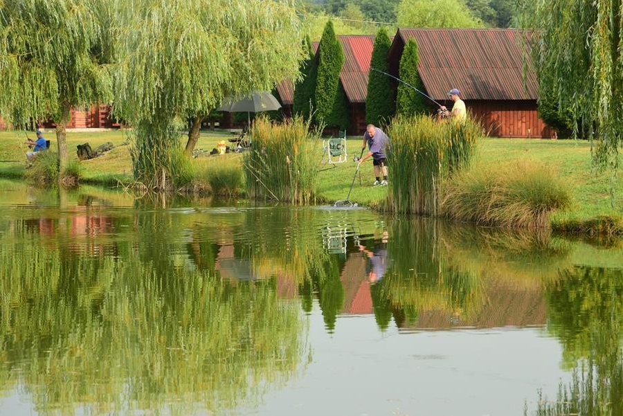 Vand Balta de pescuit, Pensiune-Camping in jud. Arges.
