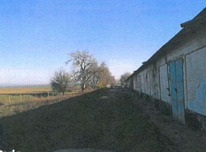 Vand baza de receptie si depozitare cereale judetul Tulcea
