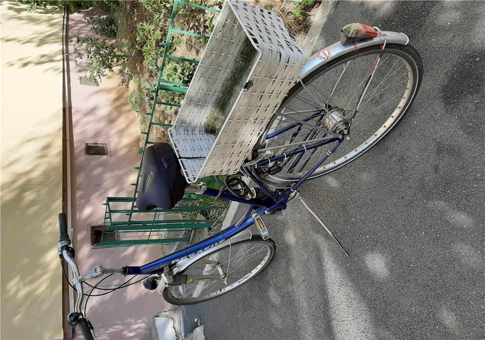 vand bicicleta pegasus 28 stare buna functionare perfecta 7 viteze