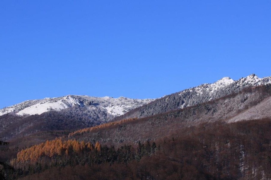 Vand cabana la Cavnic