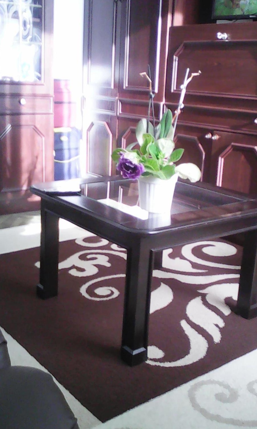 Vand camera camin/garsoniera