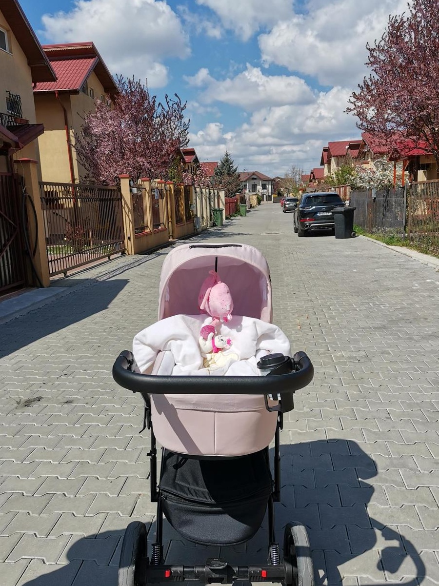 Vand carucior 2 in 1 Emilio Adamex ROZ