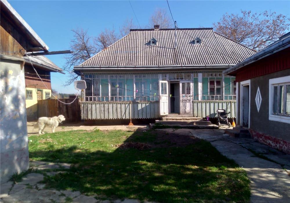 Vând casa bătrânească, anexe și 5000 mp Parhauti