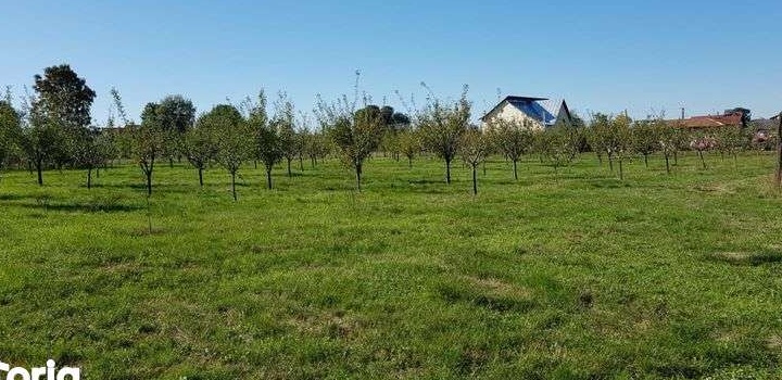 Vand casa comuna Rociu, Gliganul de sus; teren 5000 mp