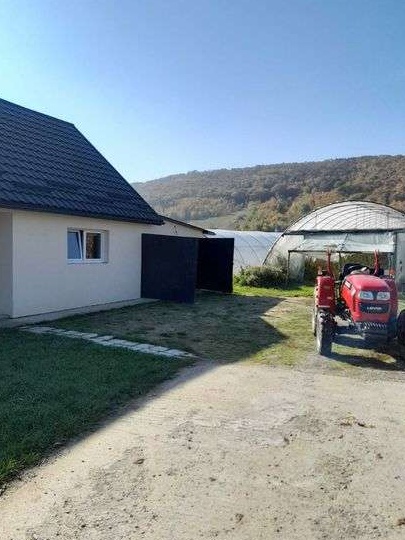 Vand casa cu teren