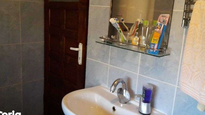 Vand casa cu teren 5.000 mp intravilan, com. Goiesti, 18 km de Craiova