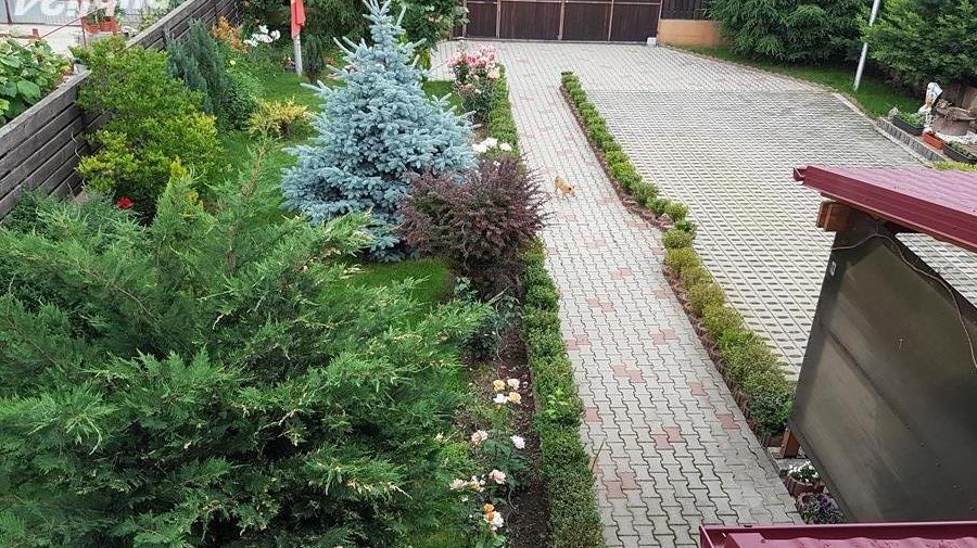 Vand casa cu teren in Onesti