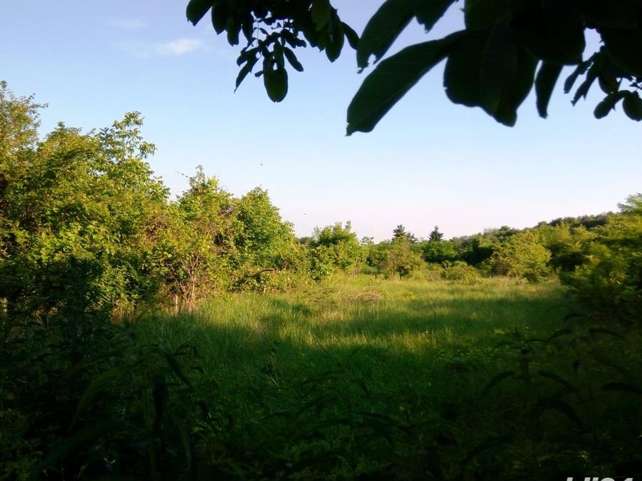Vand casa cu teren in Urlati