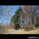 Vand casa cu teren  la 5 km de Sinaia