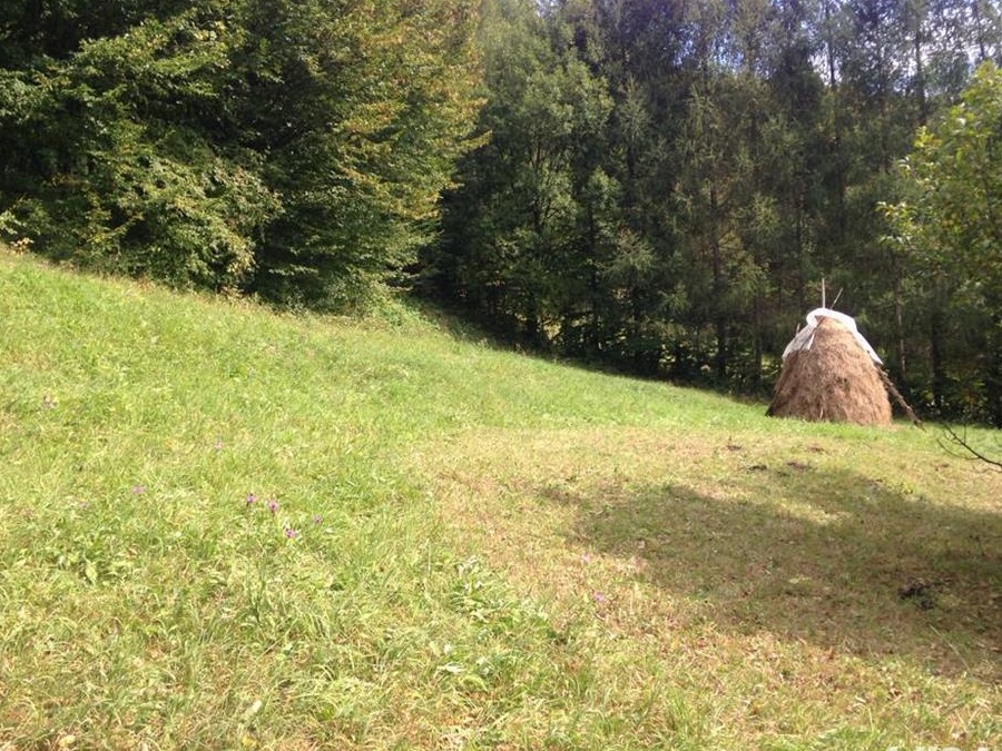 Vand casa cu teren  la 5 km de Sinaia
