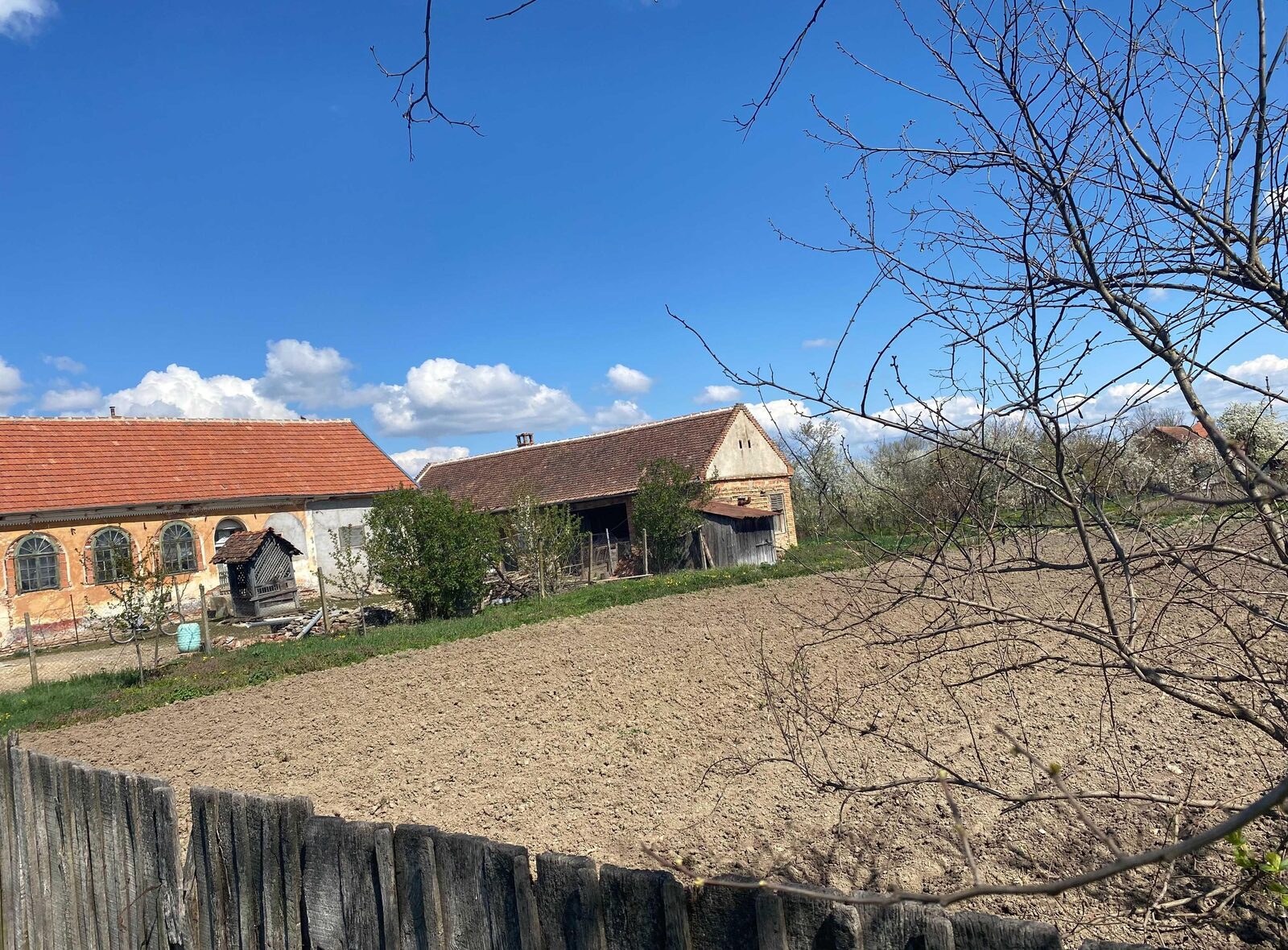 Vand casa cu terent in sat Cadar