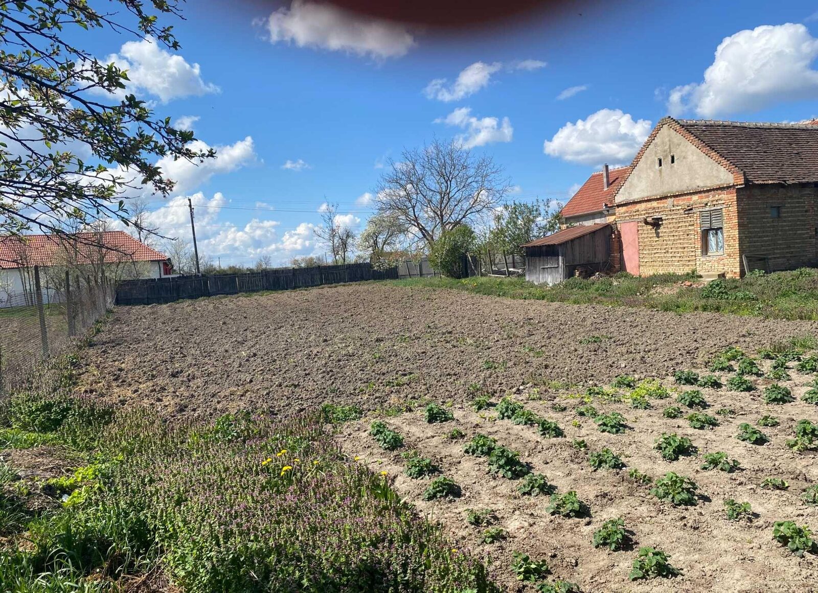 Vand casa cu terent in sat Cadar