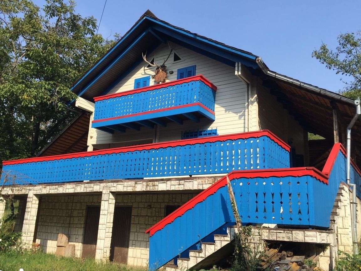 Vand casa cu vie si livada Seini, Maramures