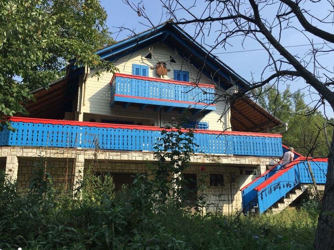Vand casa cu vie si livada Seini, Maramures