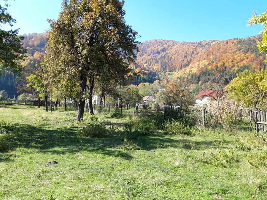 Vand casa Dragoslavele Arges pe culoarul Rucar Bran