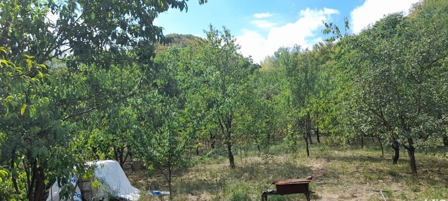 Vand casa dumbravita de codru