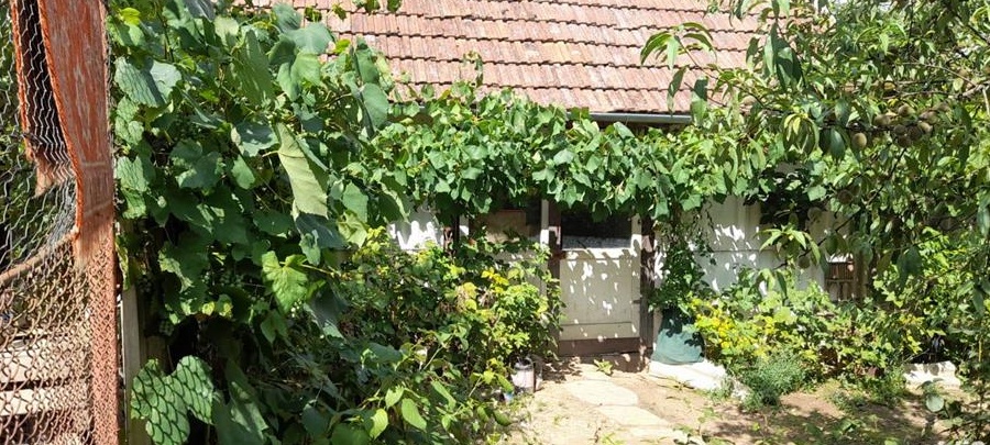 Vand casa dumbravita de codru