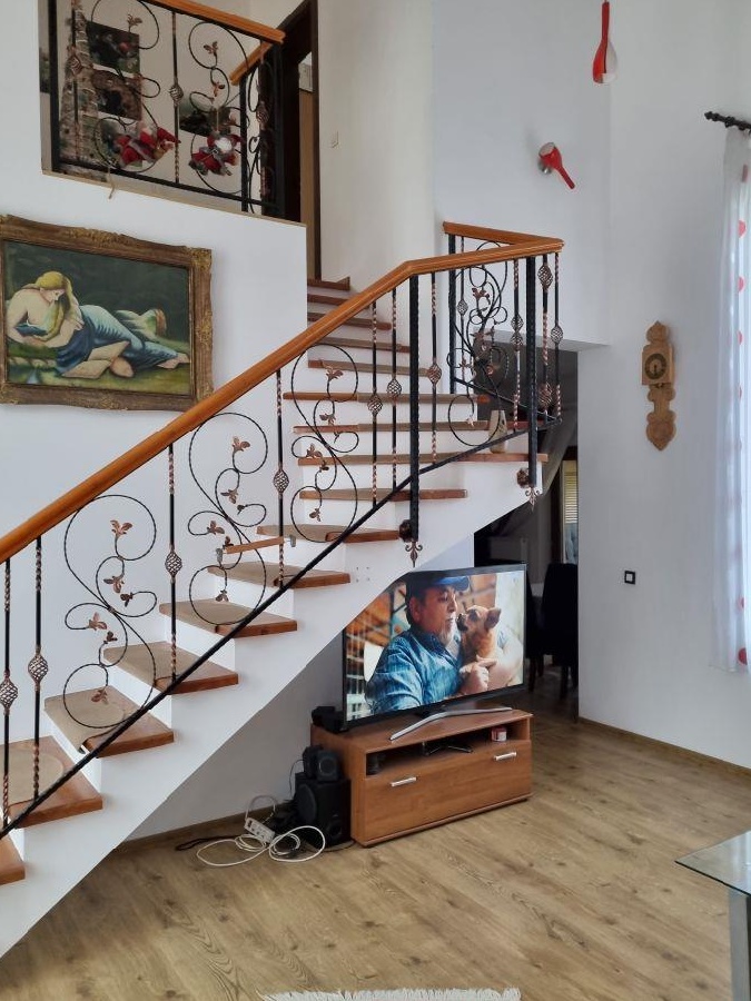 vand casa giroc neptun
