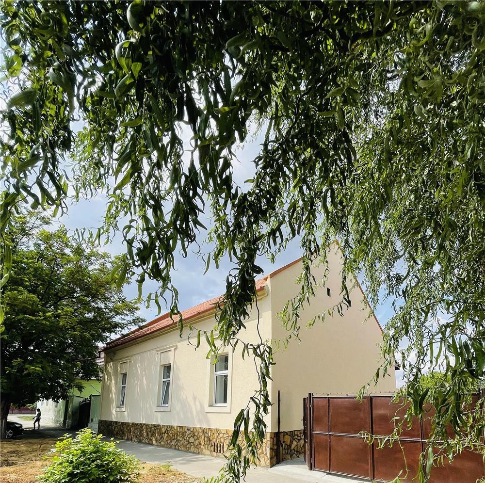 Vând casa in Jimbolia