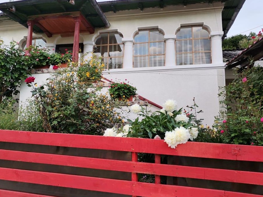 Vand casa in Merisani  sau schimb cu apartament,pret 37000
