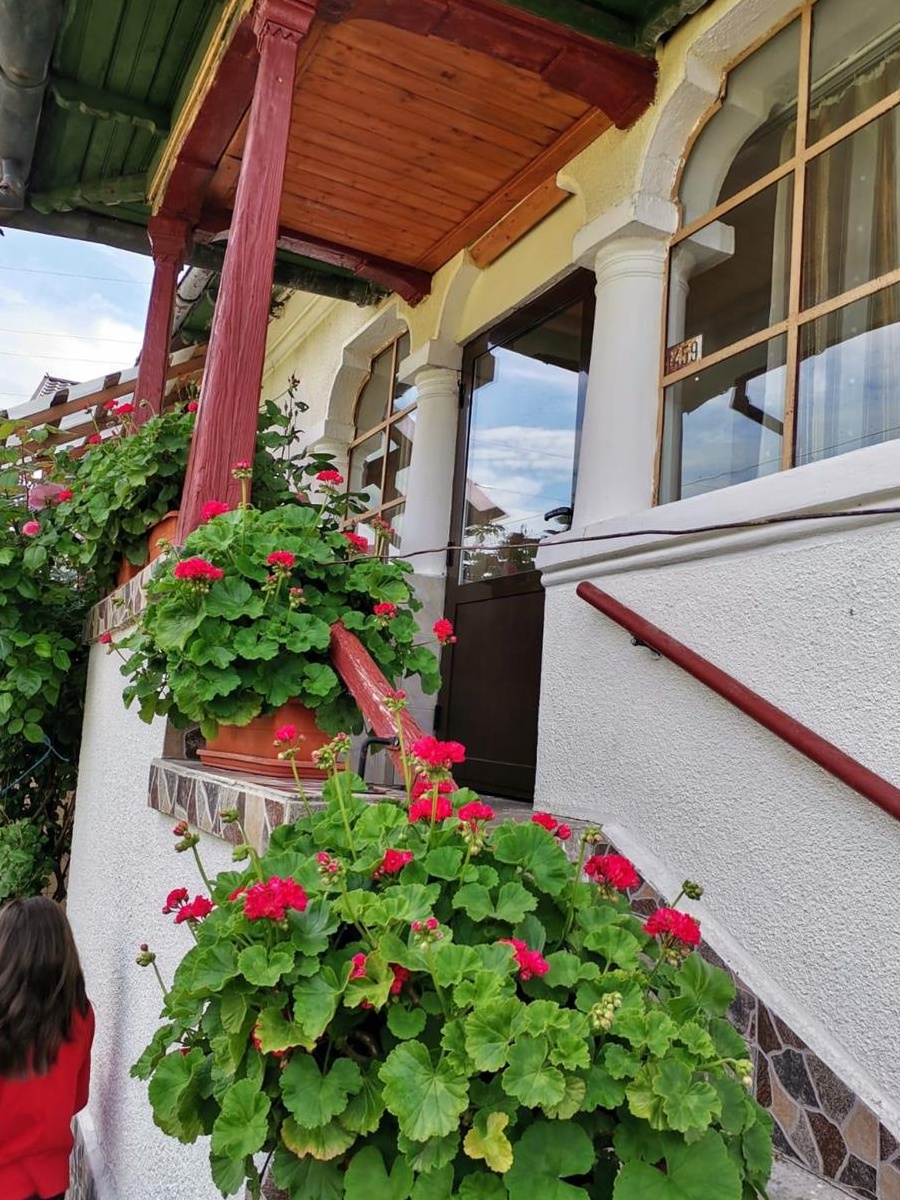 Vand casa in Merisani  sau schimb cu apartament,pret 37000