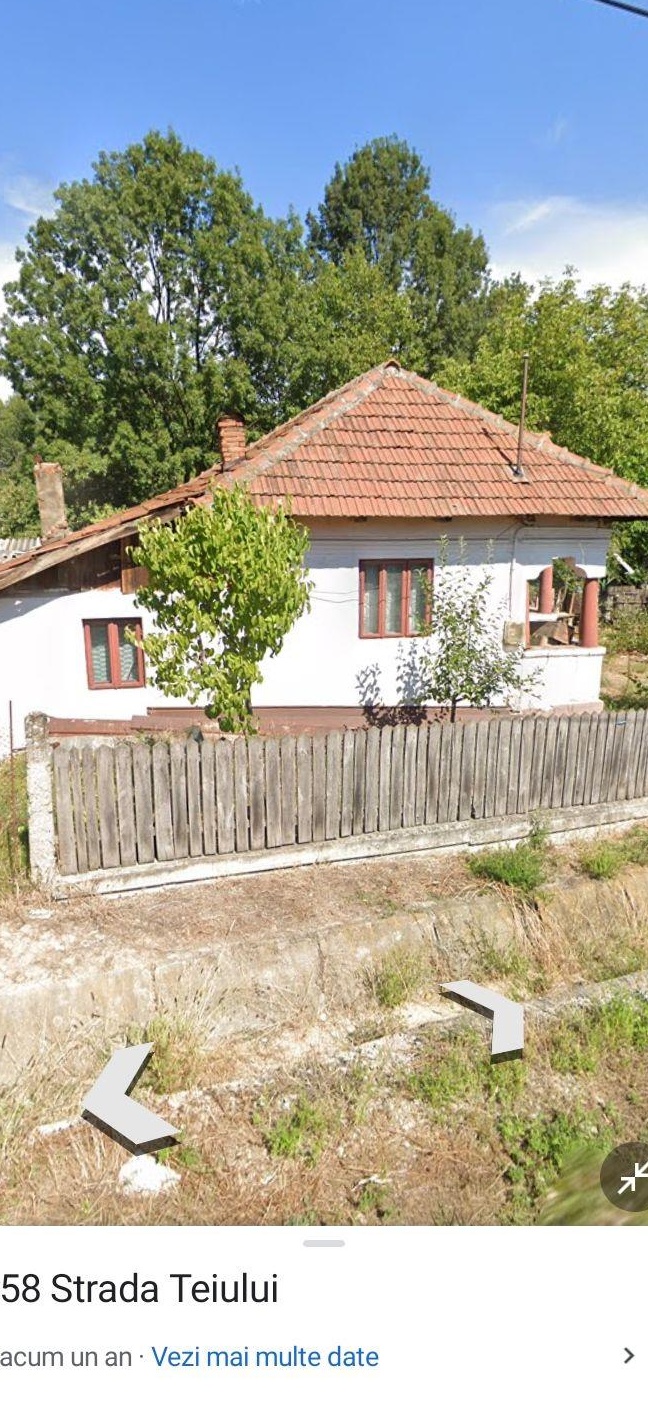 Vand casa in orasul Turceni