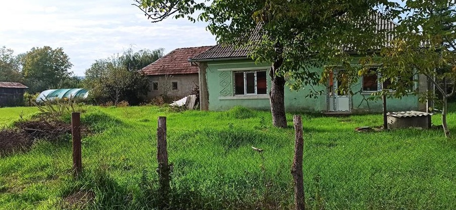 Vând casă în Pribilesti