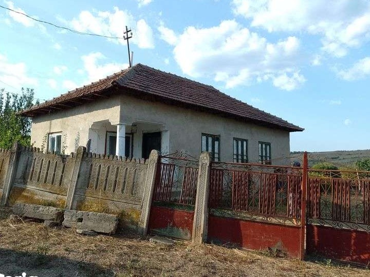 Vand casa in Radovan