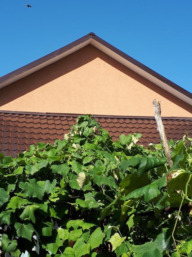 Vand casa in Roman,Neamt