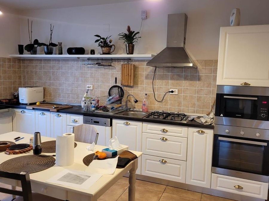 Vand Casa in Sanmihaiu Roman 210 mp locuibili