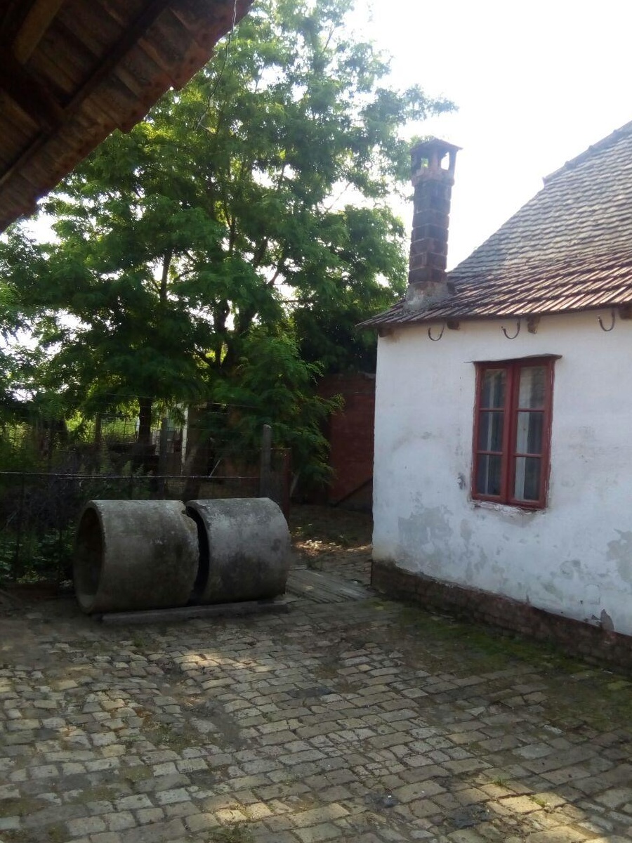 Vand casa in Teremia mare