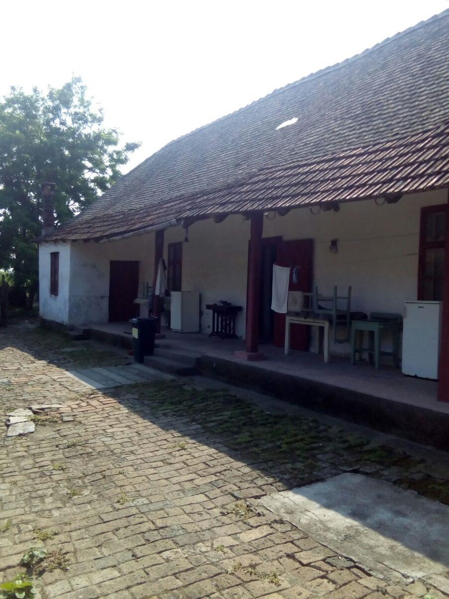 Vand casa in Teremia mare