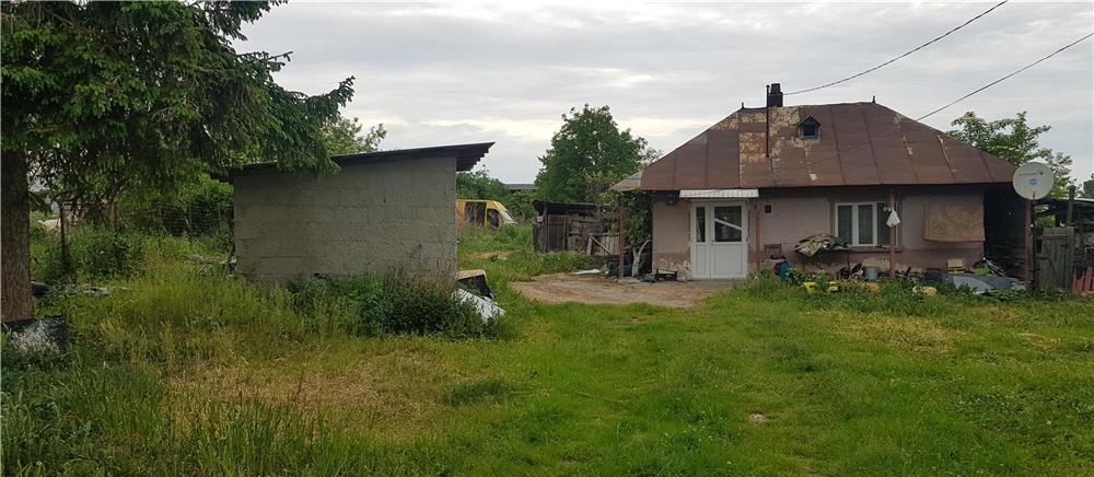 vand casa in trifesti