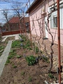 Vand casa în zona foarte bună situata la coltul a 2 strazi