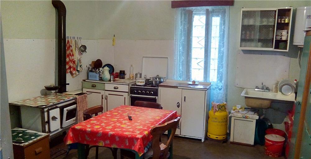Vand casa la Pustinis