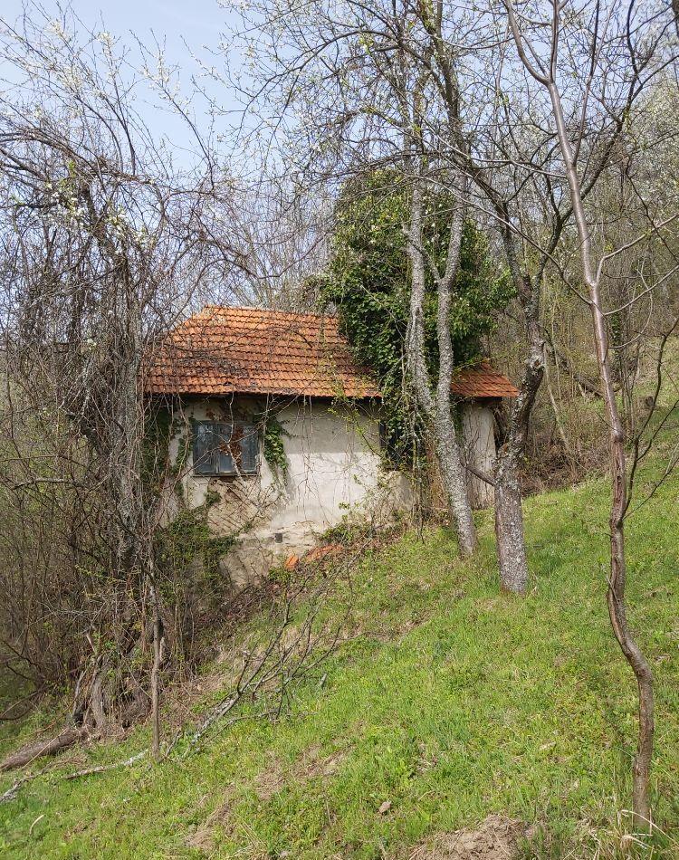 Vând casă la țară în zonă retrasă