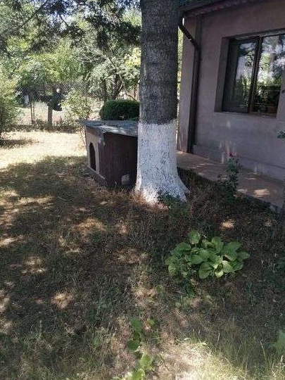 Vând casă noua in Tămădău Mare, aproape de București, utilata, 1500mp!