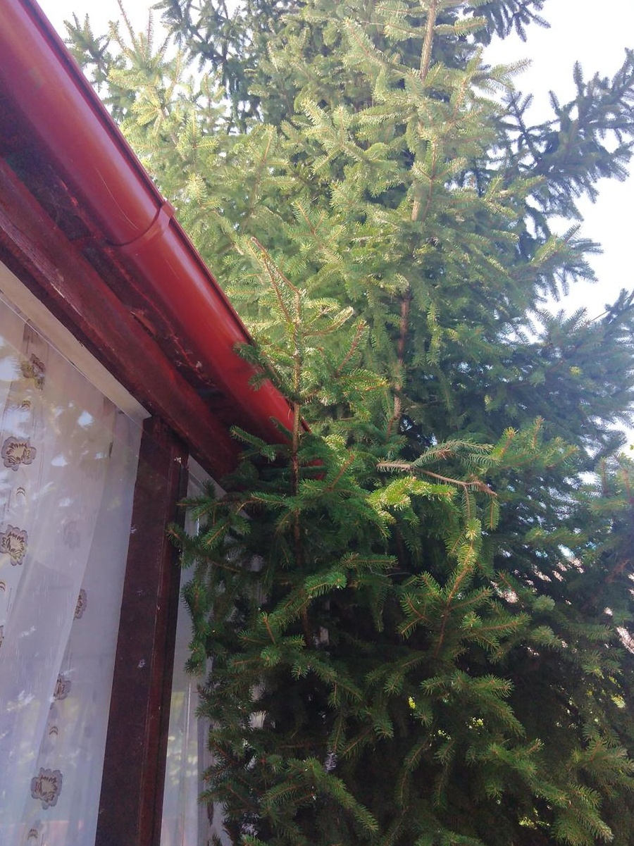 Vând casa pe malul lacului Somova Tulcea
