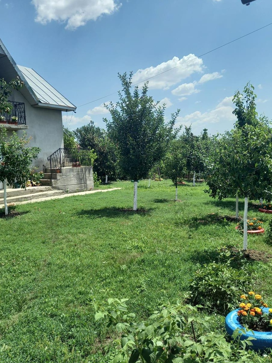 Vand casa P+M Valea Mare - Turia
