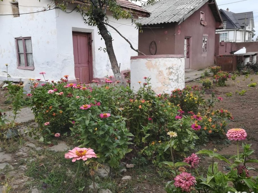 Vand casa /schimb in Corabia,jud Olt