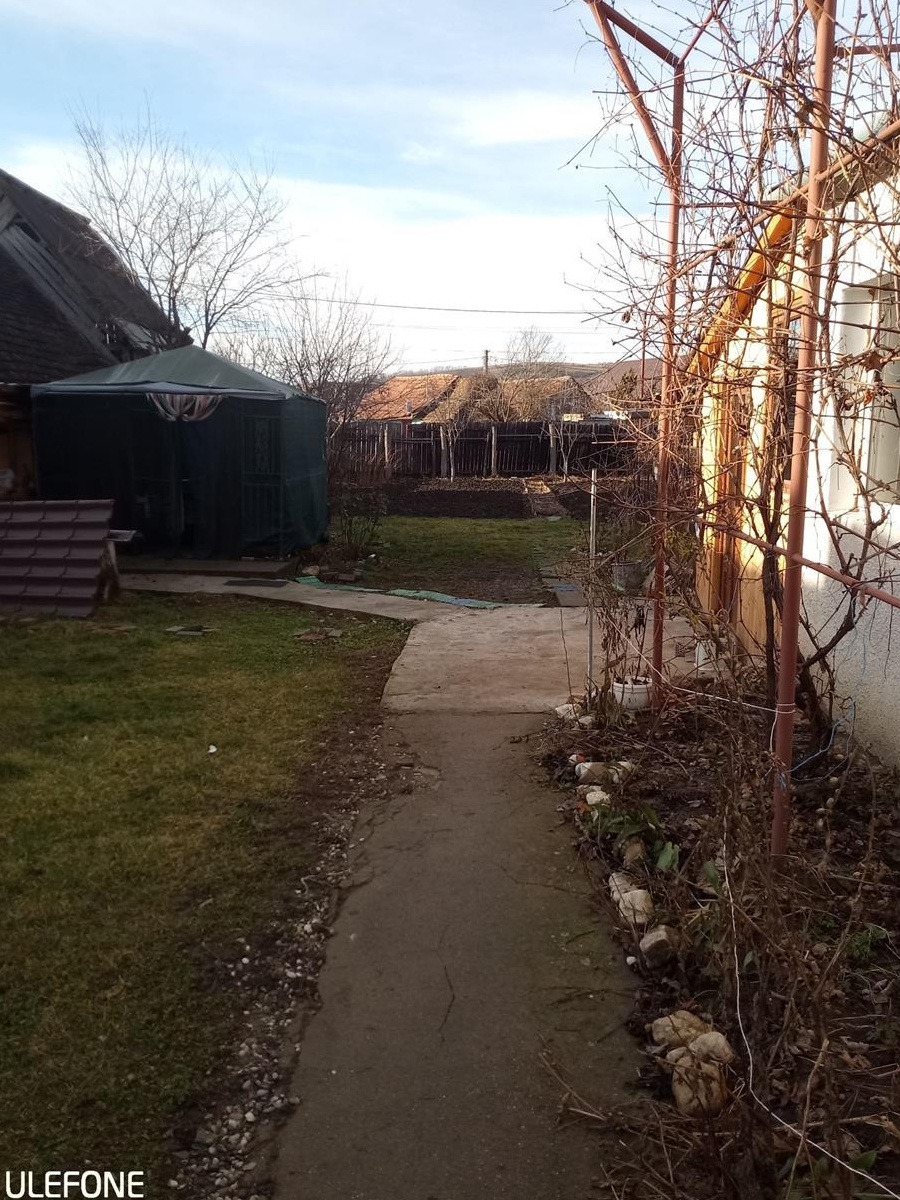 VAND  CASA  SI GRADINA HOMOROD BRASOV