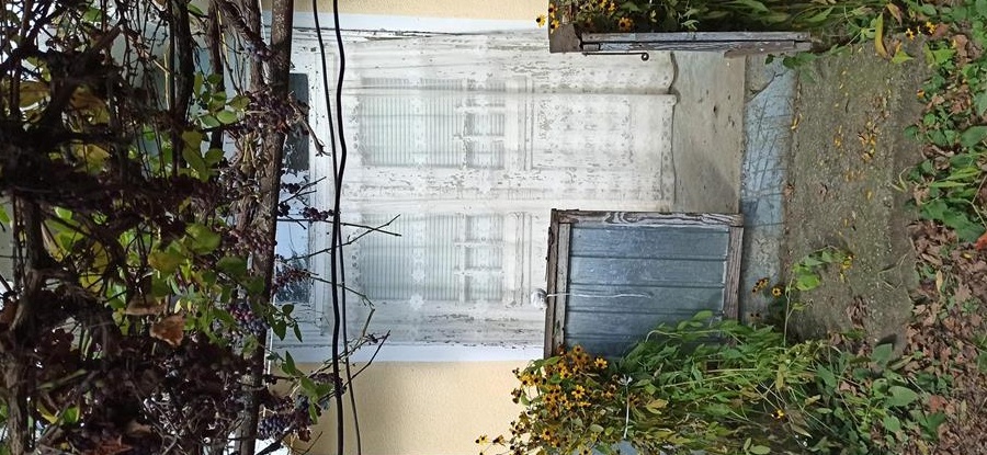 Vand casa si vie la tara