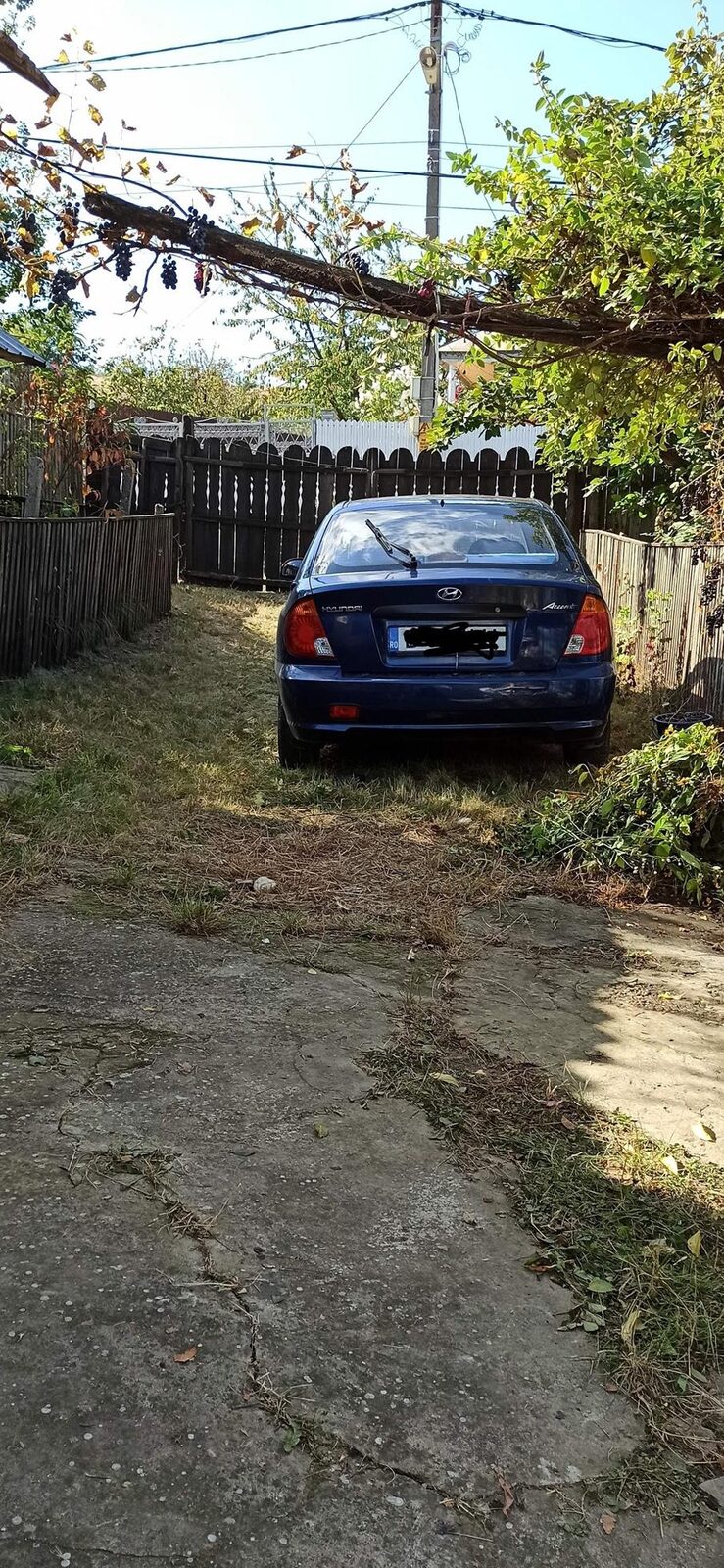 Vand casa si vie la tara