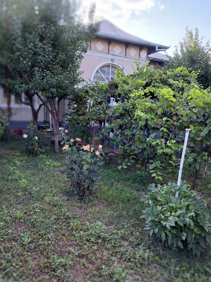 Vând casă  - Vaslui, Str. Florilor nr.5