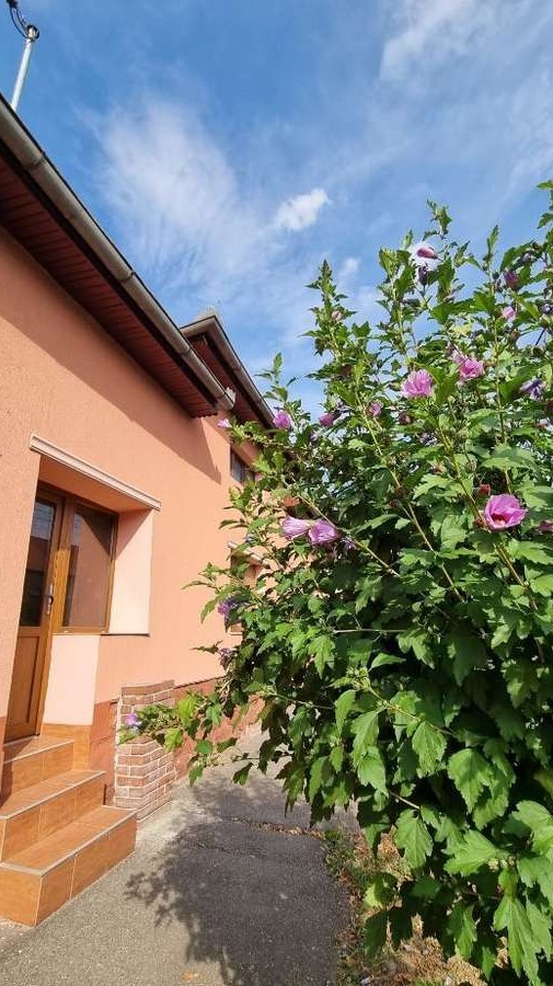 Vand casa zona centrala in Beius