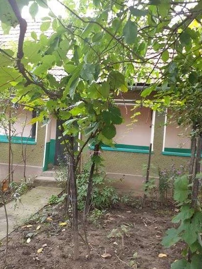 Vând casa,plus anexe
