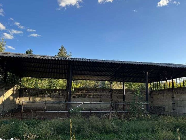 Vand casa+teren intravilan+hale industriale!
