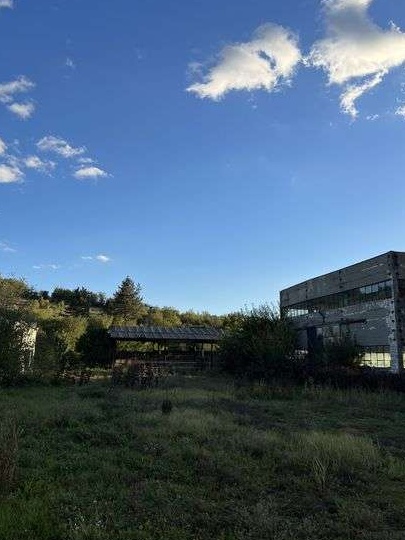 Vand casa+teren intravilan+hale industriale!