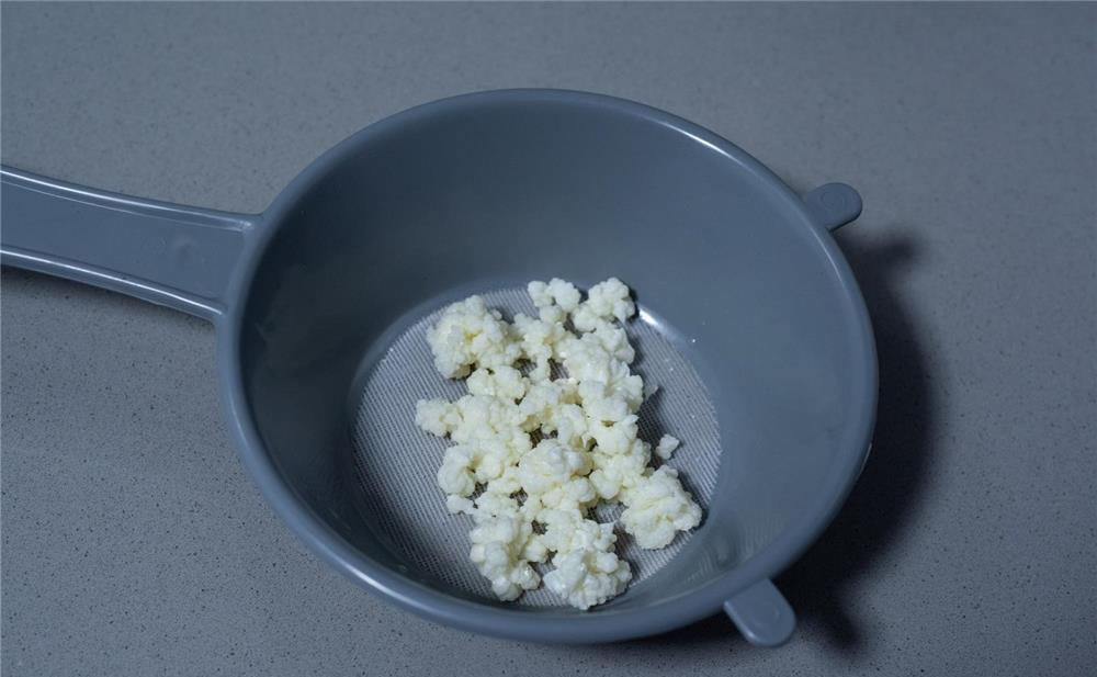 Vand ciuperca tibetana Kefir