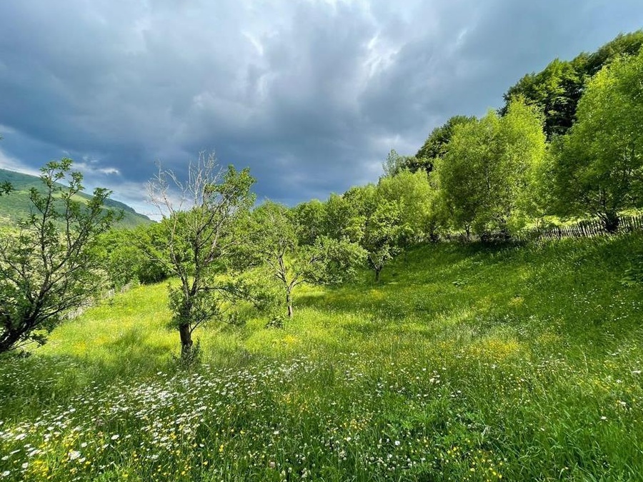 Vand doua terenuri, intravilan, com Secaria, Prahova